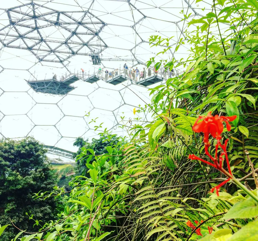 the eden project photos