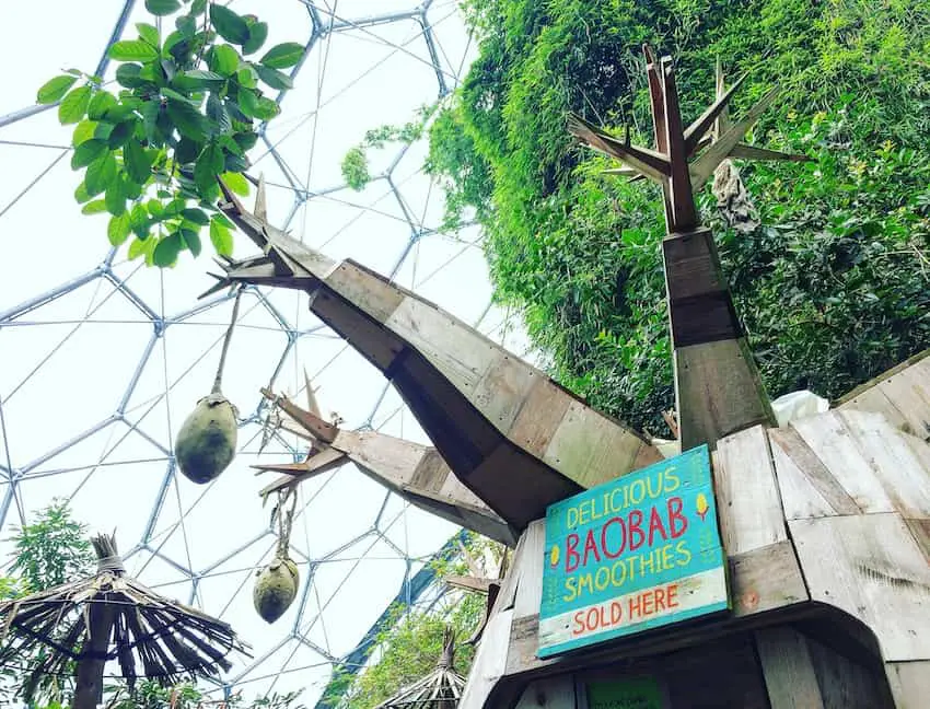 Try a baobab cocktail at the eden project